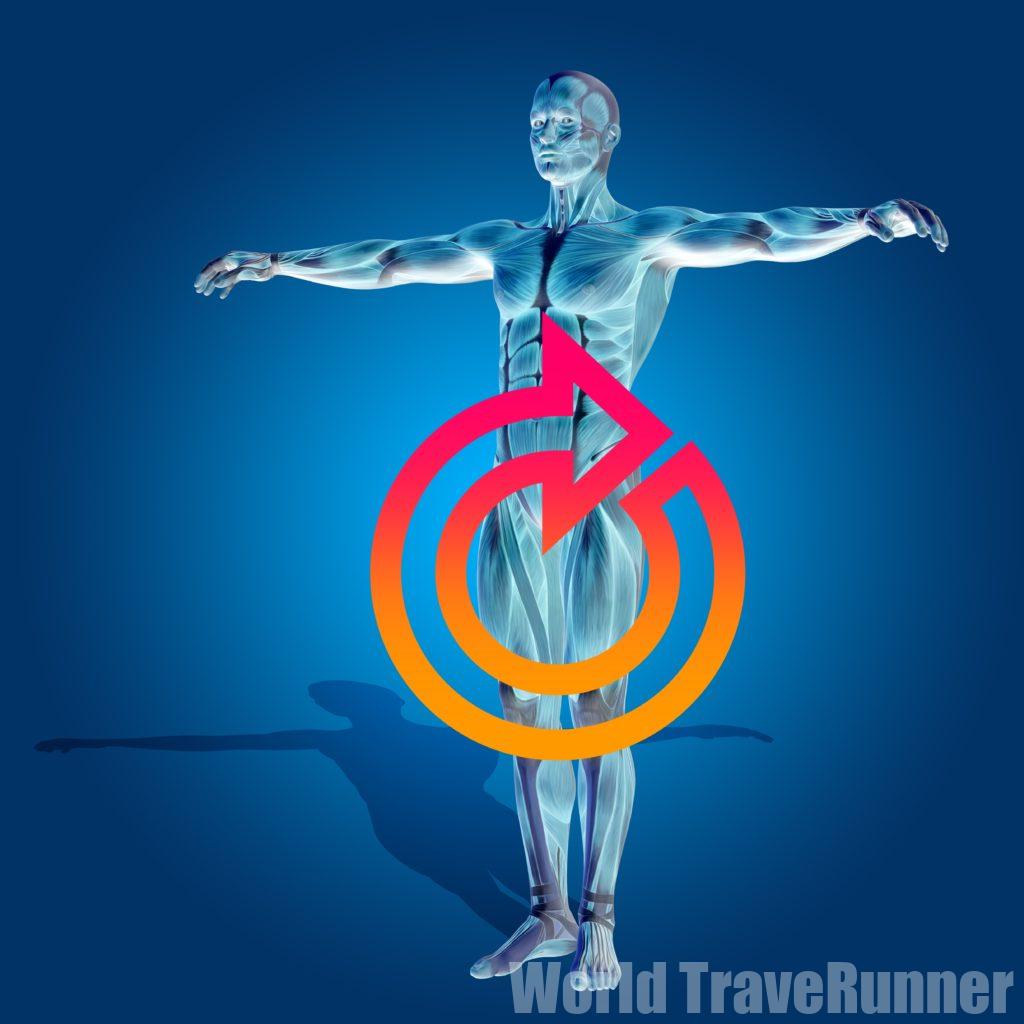ヘルスケア 独自の治療メソッド プロフェッショナルとしてのスポーツマッサージ World Traverunner 世界一周 ヘルスケア 独自の治療メソッド プロフェッショナルとしてのスポーツマッサージ World Traverunner 世界一周