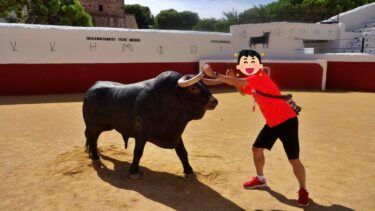 【ミハス Mijas】初めての闘牛! 襲ってきた牛の角をつかみ、投げ飛ばしたぞ!?