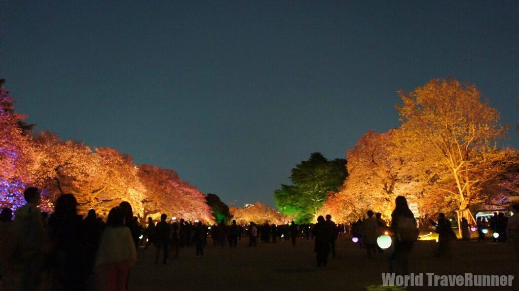 東京の桜花見】七変化：NAKED桜の新宿御苑、千鳥ヶ淵の花筏